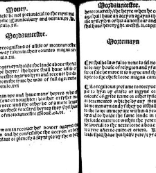 The statutes prohemium Iohannis Rastell(1527) document 311896