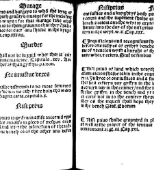 The statutes prohemium Iohannis Rastell(1527) document 311898