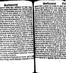 The statutes prohemium Iohannis Rastell(1527) document 311907