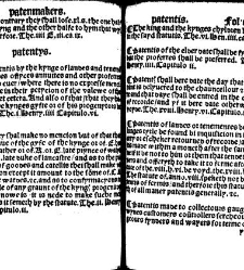 The statutes prohemium Iohannis Rastell(1527) document 311911