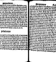 The statutes prohemium Iohannis Rastell(1527) document 311913