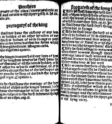 The statutes prohemium Iohannis Rastell(1527) document 311917