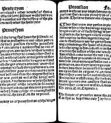 The statutes prohemium Iohannis Rastell(1527) document 311927