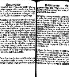 The statutes prohemium Iohannis Rastell(1527) document 311931