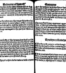 The statutes prohemium Iohannis Rastell(1527) document 311945