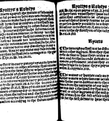 The statutes prohemium Iohannis Rastell(1527) document 311948