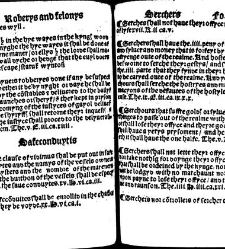 The statutes prohemium Iohannis Rastell(1527) document 311951