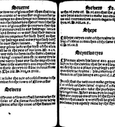 The statutes prohemium Iohannis Rastell(1527) document 311953