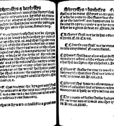 The statutes prohemium Iohannis Rastell(1527) document 311959