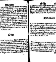 The statutes prohemium Iohannis Rastell(1527) document 311960