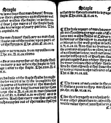 The statutes prohemium Iohannis Rastell(1527) document 311967