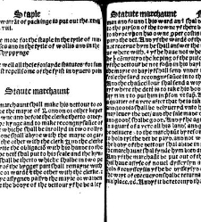 The statutes prohemium Iohannis Rastell(1527) document 311969