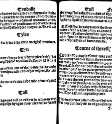 The statutes prohemium Iohannis Rastell(1527) document 311976