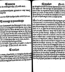 The statutes prohemium Iohannis Rastell(1527) document 311978