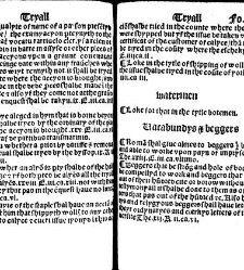 The statutes prohemium Iohannis Rastell(1527) document 311981