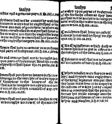 The statutes prohemium Iohannis Rastell(1527) document 311988