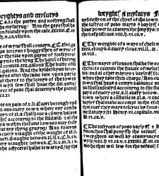 The statutes prohemium Iohannis Rastell(1527) document 311994