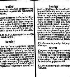 The statutes prohemium Iohannis Rastell(1527) document 312003