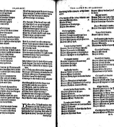 Fabyans cronycle newly prynted, wyth the cronycle, actes, and dedes done in the tyme of the reygne of the moste excellent prynce kynge Henry the vii. father vnto our most drad souerayne lord kynge Henry the .viii. To whom be all honour, reuere[n]ce, and i(1533) document 312201