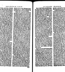 Fabyans cronycle newly prynted, wyth the cronycle, actes, and dedes done in the tyme of the reygne of the moste excellent prynce kynge Henry the vii. father vnto our most drad souerayne lord kynge Henry the .viii. To whom be all honour, reuere[n]ce, and i(1533) document 312234