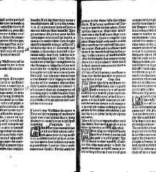 Cronycles of the londe of Englo[n]d(1493) document 316124