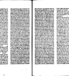 Cronycles of the londe of Englo[n]d(1493) document 316233