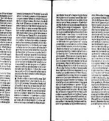 Cronycles of the londe of Englo[n]d(1493) document 316259