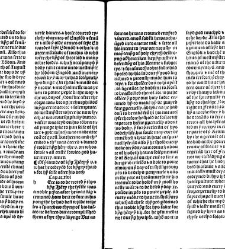 Cronycles of the londe of Englo[n]d(1493) document 316262