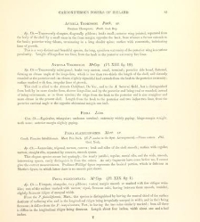 A synopsis of the characters of the Carboniferous Limestone Fossils of Ireland(1862) document 458350