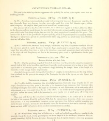 A synopsis of the characters of the Carboniferous Limestone Fossils of Ireland(1862) document 458466