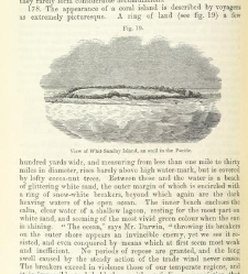 An Elementary Course of Geology, Mineralogy and Physical Geography(1855) document 459337