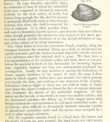 An Elementary Course of Geology, Mineralogy and Physical Geography(1855) document 459566