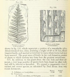 An Elementary Course of Geology, Mineralogy and Physical Geography(1855) document 459567