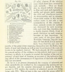 An Elementary Course of Geology, Mineralogy and Physical Geography(1855) document 459569