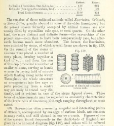 An Elementary Course of Geology, Mineralogy and Physical Geography(1855) document 459572