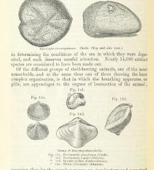 An Elementary Course of Geology, Mineralogy and Physical Geography(1855) document 459573