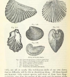 An Elementary Course of Geology, Mineralogy and Physical Geography(1855) document 459575