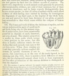 An Elementary Course of Geology, Mineralogy and Physical Geography(1855) document 459578