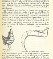 An Elementary Course of Geology, Mineralogy and Physical Geography(1855) document 459602