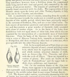 An Elementary Course of Geology, Mineralogy and Physical Geography(1855) document 459603