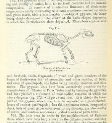 An Elementary Course of Geology, Mineralogy and Physical Geography(1855) document 459607