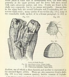 An Elementary Course of Geology, Mineralogy and Physical Geography(1855) document 459619