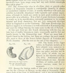 An Elementary Course of Geology, Mineralogy and Physical Geography(1855) document 459629