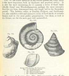 An Elementary Course of Geology, Mineralogy and Physical Geography(1855) document 459634