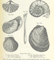 An Elementary Course of Geology, Mineralogy and Physical Geography(1855) document 459638