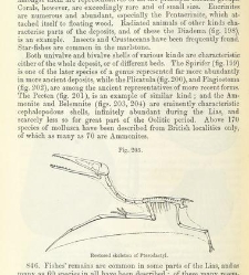 An Elementary Course of Geology, Mineralogy and Physical Geography(1855) document 459639