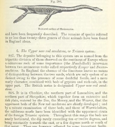 An Elementary Course of Geology, Mineralogy and Physical Geography(1855) document 459640