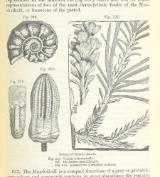 An Elementary Course of Geology, Mineralogy and Physical Geography(1855) document 459642