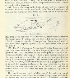 An Elementary Course of Geology, Mineralogy and Physical Geography(1855) document 459643