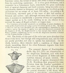 An Elementary Course of Geology, Mineralogy and Physical Geography(1855) document 459651